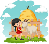 Nhà Hiền có một đàn dê và một đàn lợn. Bố Hiền vừa mua thêm 45 con dê và bán đi 50 con lợn. Khi đó, số dê nhà Hiền ít hơn số lợn là 150 con. Hỏi lúc đầu số dê nhà Hiền ít hơn số lợn là bao nhiêu con? (ảnh 1)