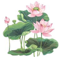 Nối hình với từ cho phù hợp: (1,5 điểm) (ảnh 1)
