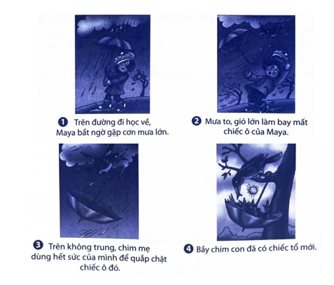 Em hãy quan sát các hình dưới đây và thực hiện một trong hai yêu cầu sau (ảnh 1)