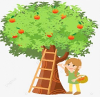 Mai hái được 40 quả cam, Mai mang biếu ông bà 1/2 số cam đó. Hỏi Mai biếu ông bà bao nhiêu quả cam? (ảnh 1)