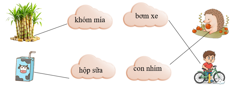 b) Nối từ ngữ với hình tương ứng:   (ảnh 1)