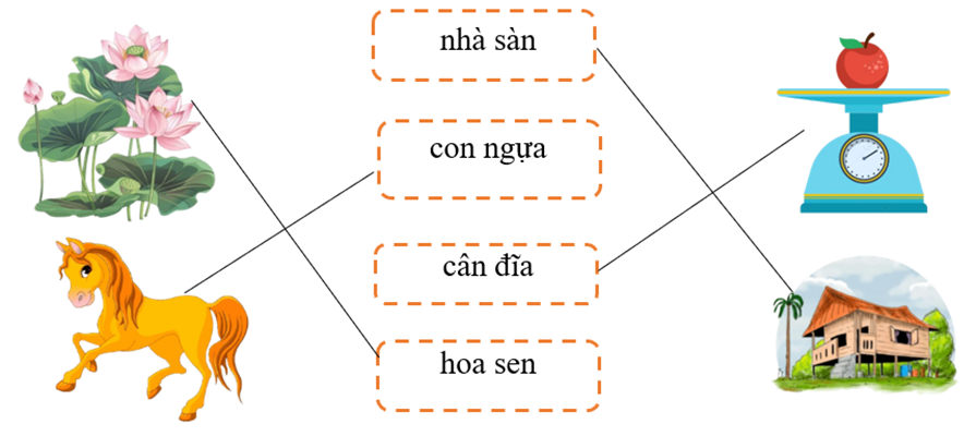 Nối hình với từ cho phù hợp: (1,5 điểm) (ảnh 5)