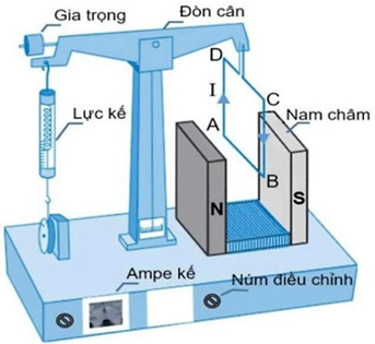 Một bạn học sinh sử dụng bộ thí nghiệm như hình bên để xác định độ lớn cảm ứng từ giữa hai nhánh của nam châm chữ U. (ảnh 1)