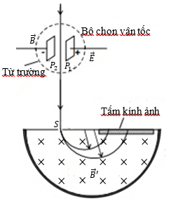 Máy quang phổ khối Bainbridge có sơ đồ như hình bên là một thiết bị dùng để xác định khối lượng nguyên tử. Các nguyên tử bị mất electron trở thành các ion dương. (ảnh 1)