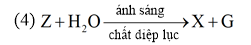 Cho sơ đồ phản ứng sau: (1)  (2) Y +  ammonium gluconate + Ag + NH3+H2O (3) Y  E + Z   Các chất X, Y, Z lần lượt là A. cellulose, fructose, carbon dioxide.	 B. cellulose, saccharose, carbon dioxide.  (ảnh 1)