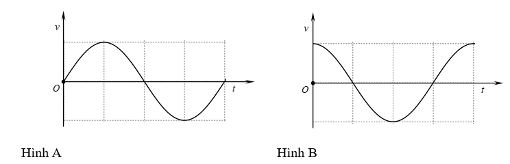 Vật nặng của một con lắc lò xo di chuyển lên xuống sau khi được kích thích dao động tại thời điểm \[t = 0\]. Đồ thị biểu diễn li độ của vật nặng theo thời gian được cho như hình vẽ. (ảnh 2)