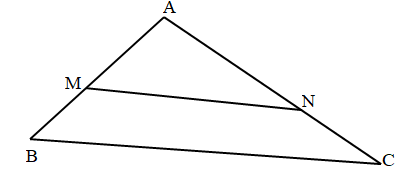 Mệnh đề nào sau đây sai? (ảnh 1)