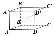 Cho hình hộp chữ nhật ABCD.A'B'C'D'. Đường chéo của hình hộp chữ nhật đó là         (ảnh 1)