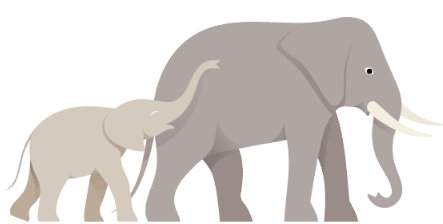 Listen and circle. (ảnh 1)