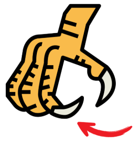 Choose the picture that contains /e/. (ảnh 1)