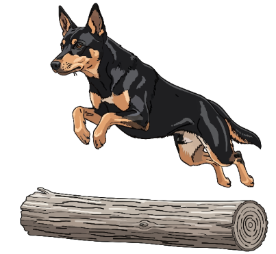 - What can your dog do? - Well, it can jump. True False (ảnh 1)