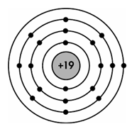 Mô hình cấu tạo của nguyên tử potassium (K) được biểu diễn như hình bên. Số hạt proton trong hạt nhân nguyên tử K là (ảnh 1)