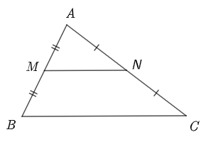 Đáp án đúng là: C (ảnh 1)