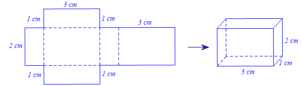 Cho hai tấm bìa sau:  Khẳng định nào sau đây là đúng? (ảnh 3)