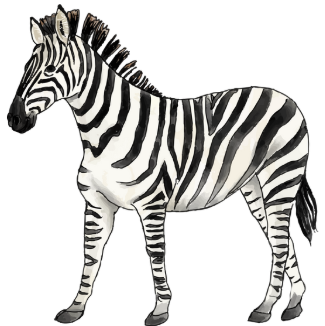 Choose the picture that contains /k/. (ảnh 1)