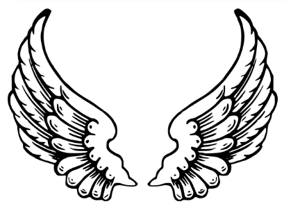 Birds have ______ and two ______. (ảnh 2)