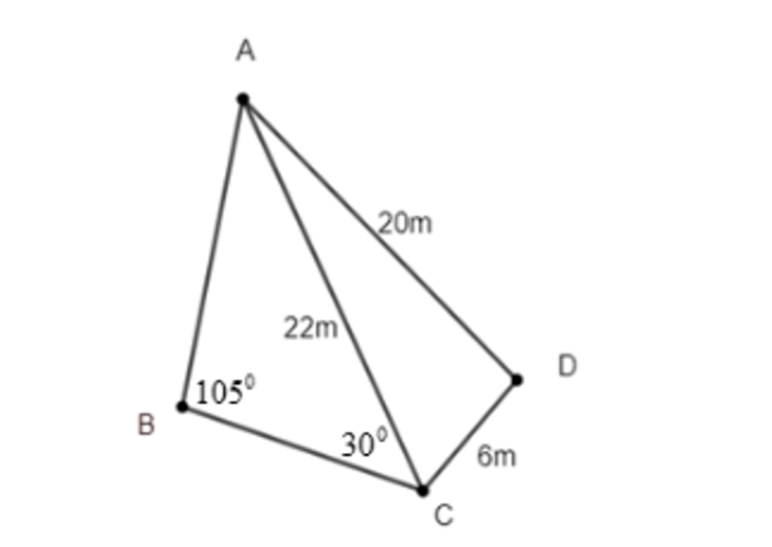 Khu vườn nhà anh T có dạng miền tứ g (ảnh 1)