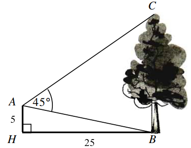 Từ vị trí \(A\), người (ảnh 1)
