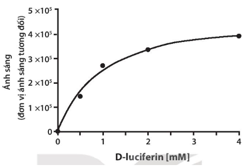 Đồ thị dưới đây cho thấy, khi lượng cơ chất không đổi còn hàm lượng enzyme tăng dần thì hoạt tính của enzyme đo bằng lượng ánh sáng được tạo ra cũng tăng theo. (Trục tung biểu thị ánh sáng, trục hoành biểu thị enzyme D – luciferin). (ảnh 1)