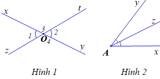 Chọn phát biểu sai trong các phát biểu sau: 	A. Hai góc đối đỉnh thì bằng nhau; (ảnh 1)