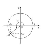 Chọn A Do công thức cộng (ảnh 1)