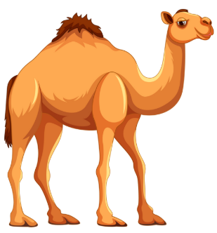 Choose the picture that contains /v/. (ảnh 2)