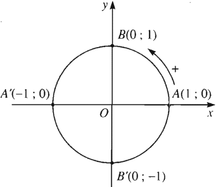 Trên đường tròn lượng giác. Số đo của góc lượng giác \(\left( {OA,OB} \right)\) là A. \(\frac{\pi }{2}\). B. \( - \frac{\pi }{2}\). C. \( - \frac{\pi }{4}\). D. \(\frac{\pi }{4}\). (ảnh 1)