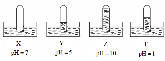 Có 4 ống nghiệm, mỗi ống đựng một chất khí khác nhau trong số các khí NH3, HCl, O2, SO2. Các ống nghiệm được úp ngược trong các chậu nước X, Y, Z, T. Kết quả thí nghiệm được mô tả bằng hình vẽ sau: (ảnh 1)