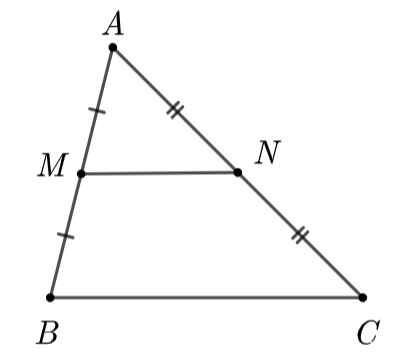 Hướng dẫn giải:  Đáp án đúng là: D (ảnh 1)