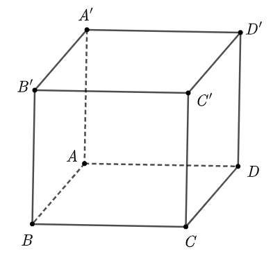Hình lập phương có số cạnh và số mặt là A. 12 cạnh và 6 mặt; B. 8 cạnh và 4 mặt; C. 12 mặt và 6 cạnh; D. 8 mặt và 4 mặt. (ảnh 1)