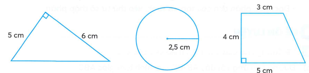 Trong các hình vẽ sau, hình vẽ có diện tích bé nhất là: (0,5 điểm)   	A. Hình tam giác	B. Hình tròn	C. Hình thang  (ảnh 1)