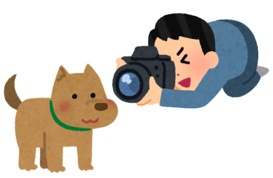 p/t/a/e/k/h/s/o/o/t → ______ (ảnh 1)