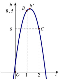 Khi quả bóng được đá lên, nó sẽ đạt độ cao nào đó rồi rơi xuống đất. Biết rằng quỹ đạo của quả bóng là một cung parabol trong mặt phẳng với hệ tọa độ Oth (ảnh 1)