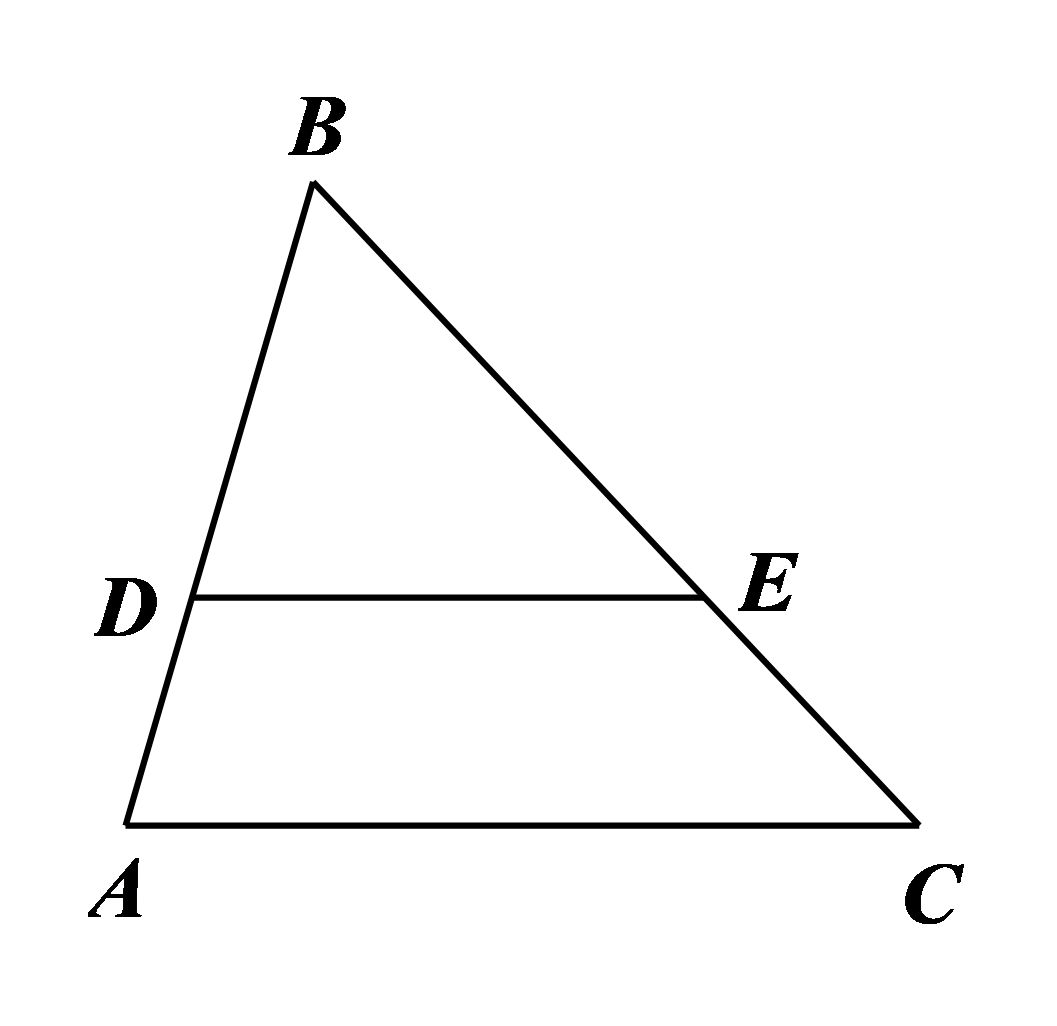 Hướng dẫn giải  Đáp án đúng là: D (ảnh 1)