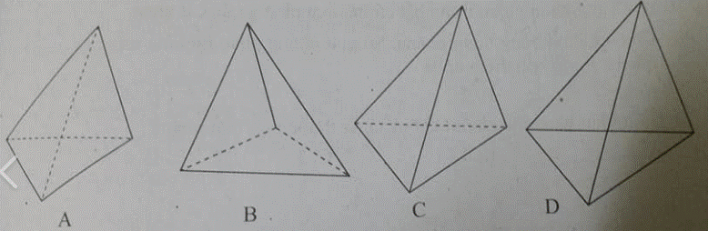 Câu 17.	Hình biểu diễn nào sau đây vẽ đúng hình chóp ? (ảnh 1)