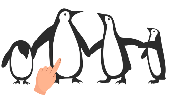 Look at the pictures and choose the correct answer. (ảnh 1)