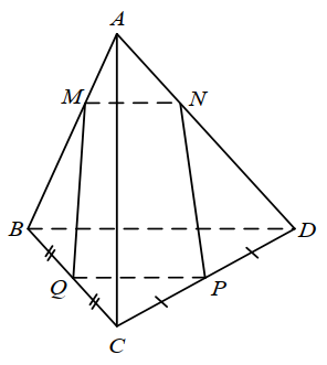 Đáp án đúng là: D (ảnh 1)