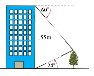 Bạn Nam đứng ở chân một tòa nhà, Nam nhìn (ảnh 1)