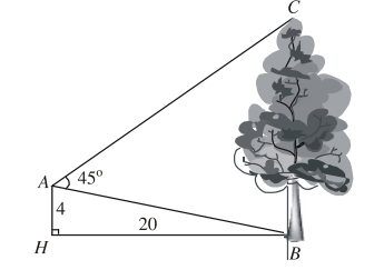 Từ vị trí \(A\) ngư (ảnh 1)