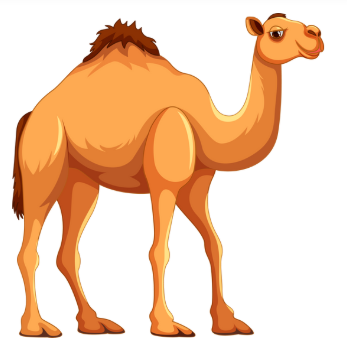 Look at the pictures and choose the correct answer. (ảnh 1)