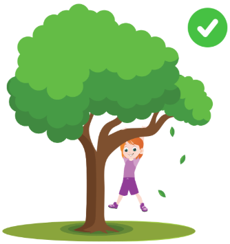 Look at the pictures and choose the correct answer. (ảnh 1)