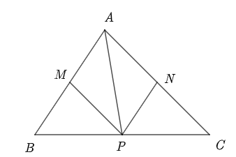 Đáp án đúng là: B (ảnh 1)