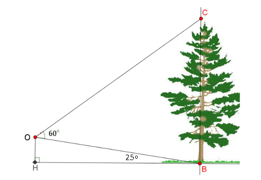 Từ vị trí \(O\)trên một cái tháp (ảnh 1)
