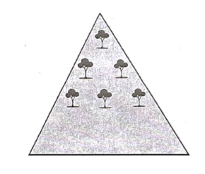 Người ta trồng 465 cây trong một khu vườn hình tam giác theo cách sau: Hàng thứ nhất có 1 cây, hàng thứ hai có 2 cây và cứ như thế mỗi hàng sau sẽ có nhiều hơn hàng ngay trước đó 1 cây. Hỏi tổng số hàng cây trong khu vườn bằng bao nhiêu? (ảnh 1)