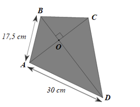 Một chiếc diều được mô tả như hình vẽ bên. (ảnh 1)