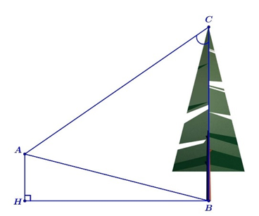 Biết AH = 4m, HB = 20m, góc BAC = 45 độ. Tính chiều cao của cây (làm tròn kết quả đến hàng phần mười). (ảnh 1)