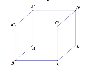 Cho hình lập phương ABCD.A'B'C'D'. Mặt phẳng nào sau đây vuông góc với mặt phẳng (ABCD) (ảnh 1)