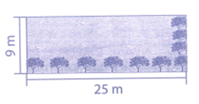 Một mảnh vườn hình chữ nhật có chiều dài 25 m, chiều rộng 9 m. Tính chu vi và diện tích của mảnh vườn đó. (ảnh 1)