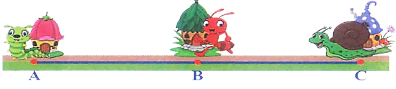 Nhà của Sâu, Kiến và Ốc Sên nằm trên ba điểm A, B, C (như bức tranh). Đoạn thẳng AC dài 16 cm và B là trung điểm của đoạn thẳng AC. Vậy khoảng cách từ nhà Kiến đến nhà Sâu là:  (ảnh 1)