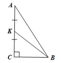 Cho tam giác (ABC) vuông có cạnh huyền AB =  căn bậc 2 117 cm và cạnh góc vuông (ảnh 1)